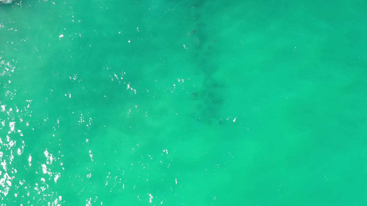 Light green water in Los Cabos, Mexico, fills the frame as a vertical band of white sunlight reflection breaks across the rippled surface with no visible people.
