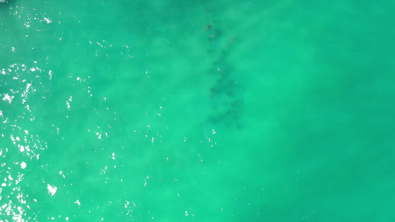 Green ocean water with scattered sparkle