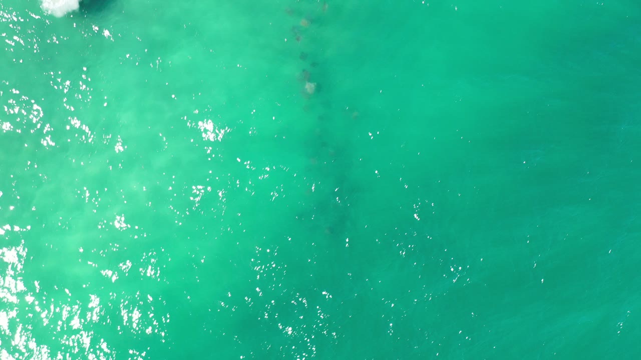 Overhead view of green ocean water in Los Cabos, Mexico, with bright surface reflections and a dark whale form faintly visible below, no visible people.