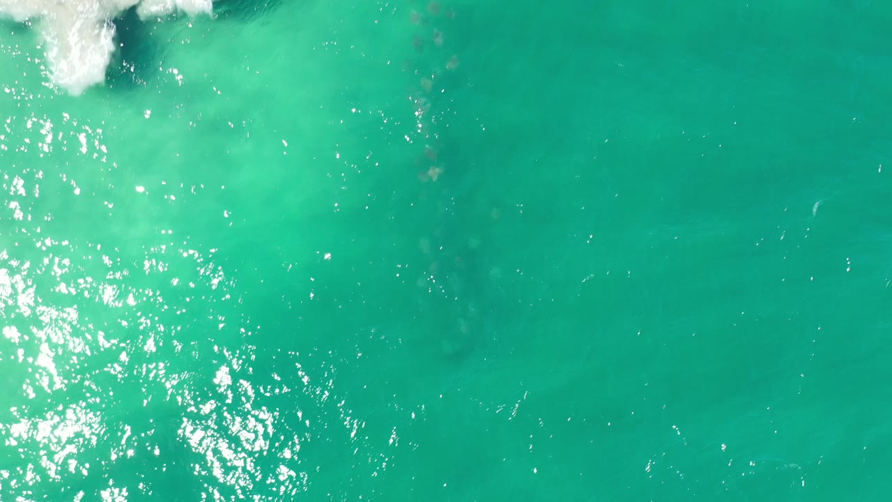 Bright green ocean with sun sparkle and a faint whale silhouette.
