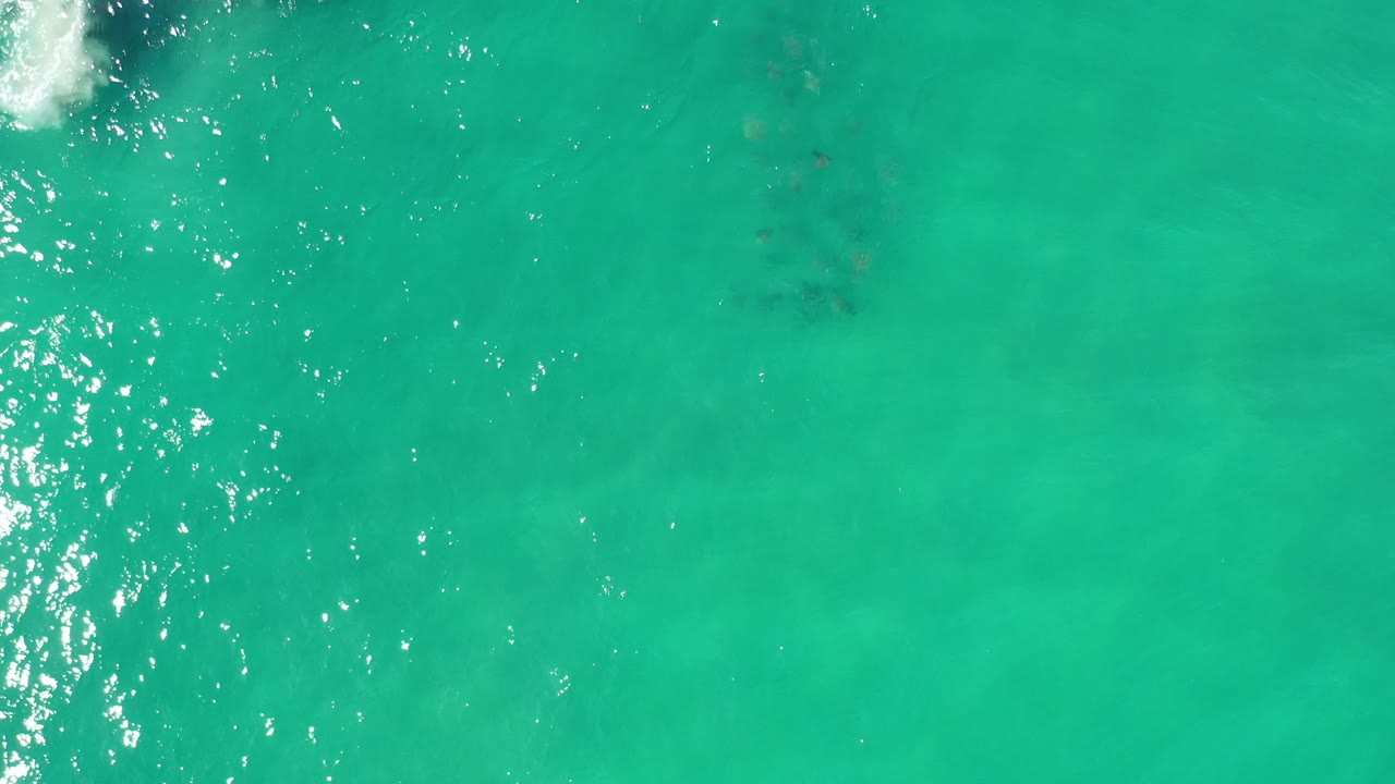 Clear green sea with small foam at the top and darker patches below.