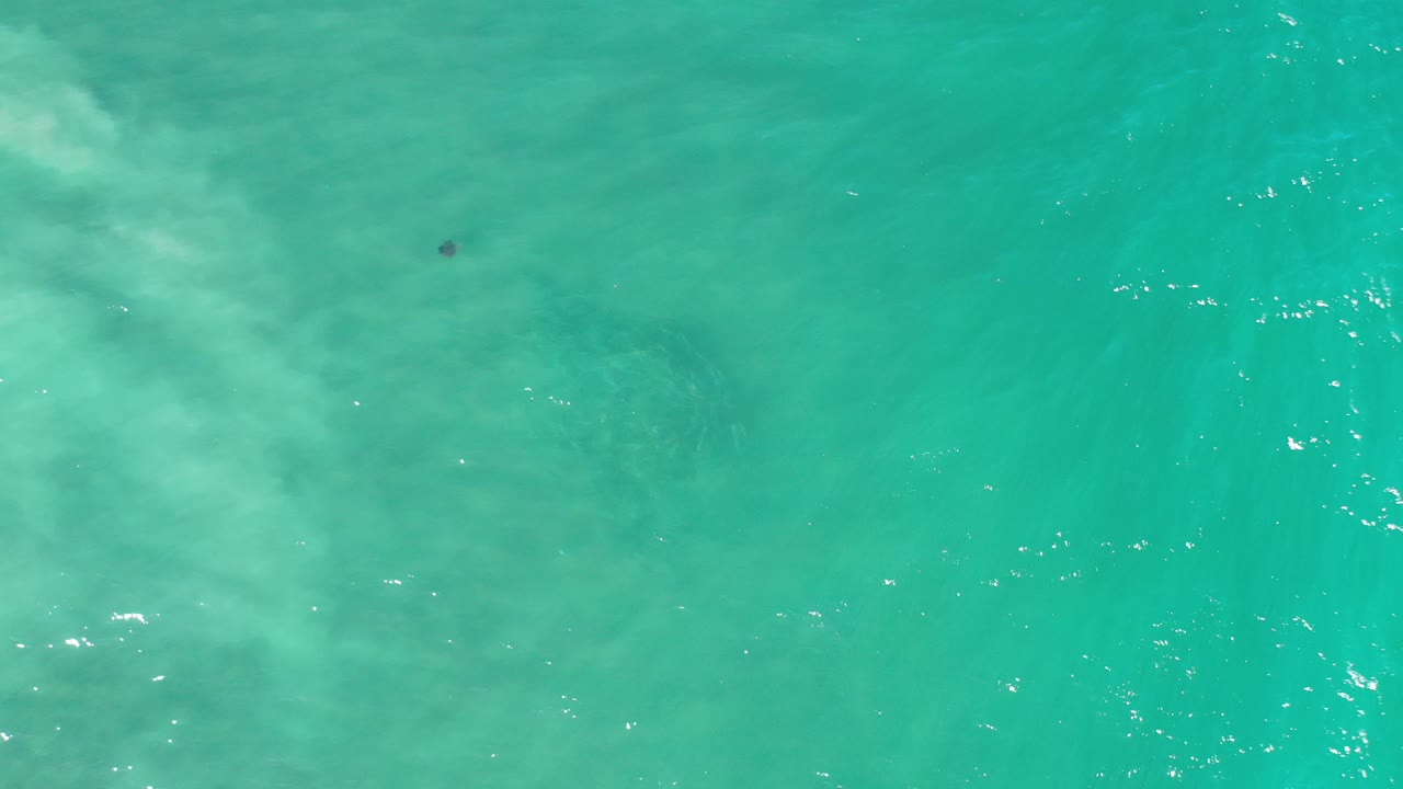 Overhead view of turquoise ocean water in Los Cabos, Mexico, with pale foamy surf texture along the left side and no visible people.