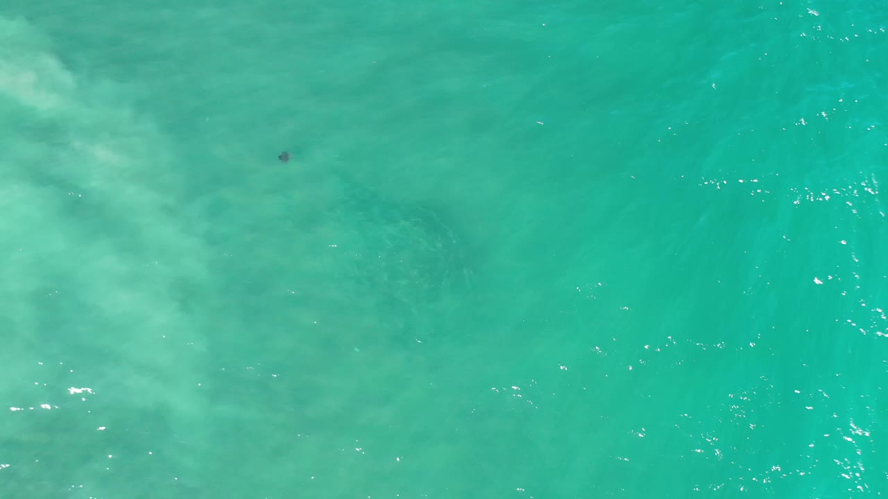 Overhead Los Cabos ocean frame showing blue-green water, faint milky surf patterns near the left edge, small surface glints, and no visible people.