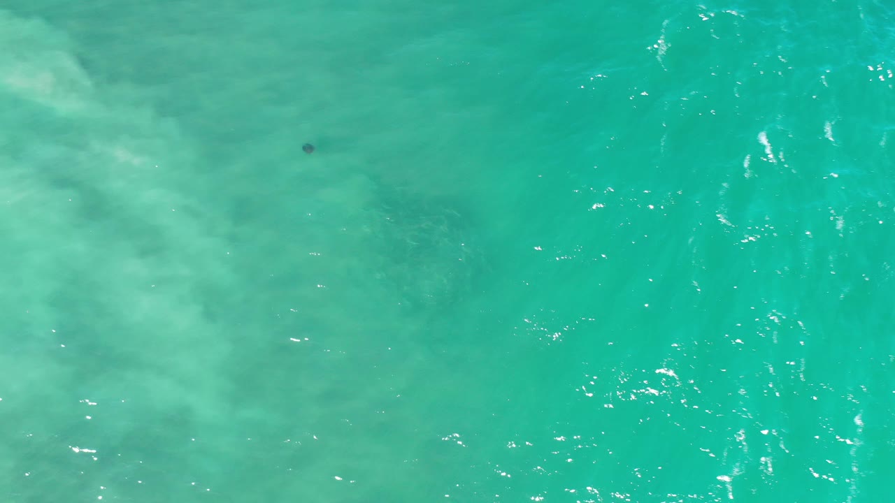 Clear turquoise water with light ripples and reflections.