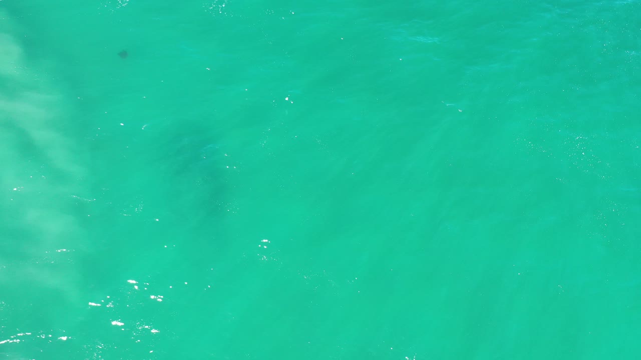 Overhead view of aquamarine water in Los Cabos with faint dark fish-like shapes under the surface and no visible people.