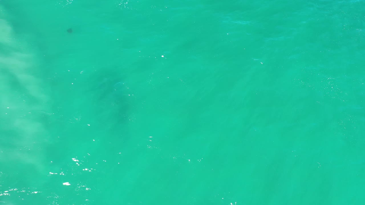 Green Los Cabos water fills the frame with soft ripples, pale underwater patches, and no visible people.