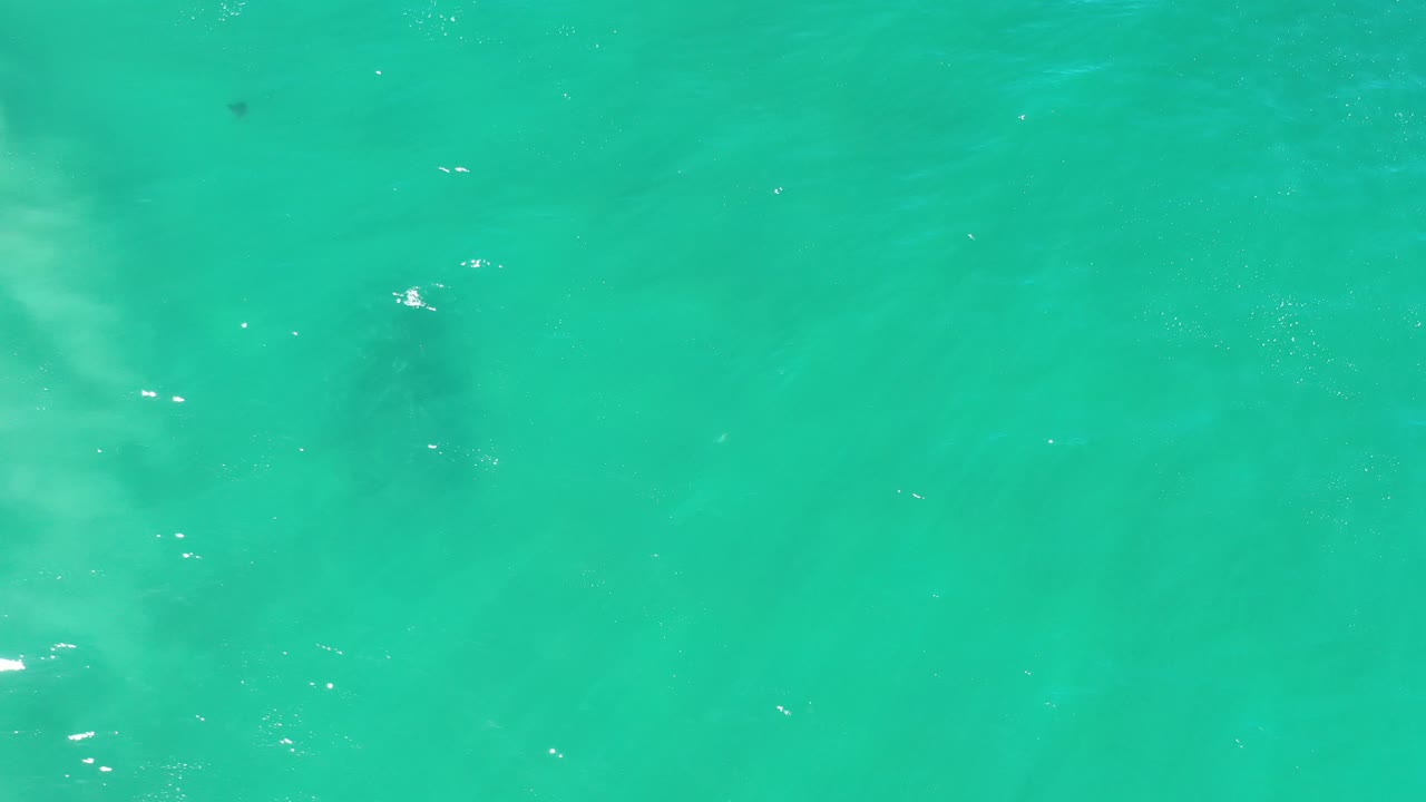 Bright green water with scattered reflections