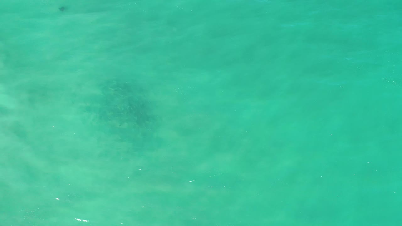 Clear green-blue water fills the frame in Los Cabos, Mexico, with muted underwater texture and no shoreline, boats, or visible people.