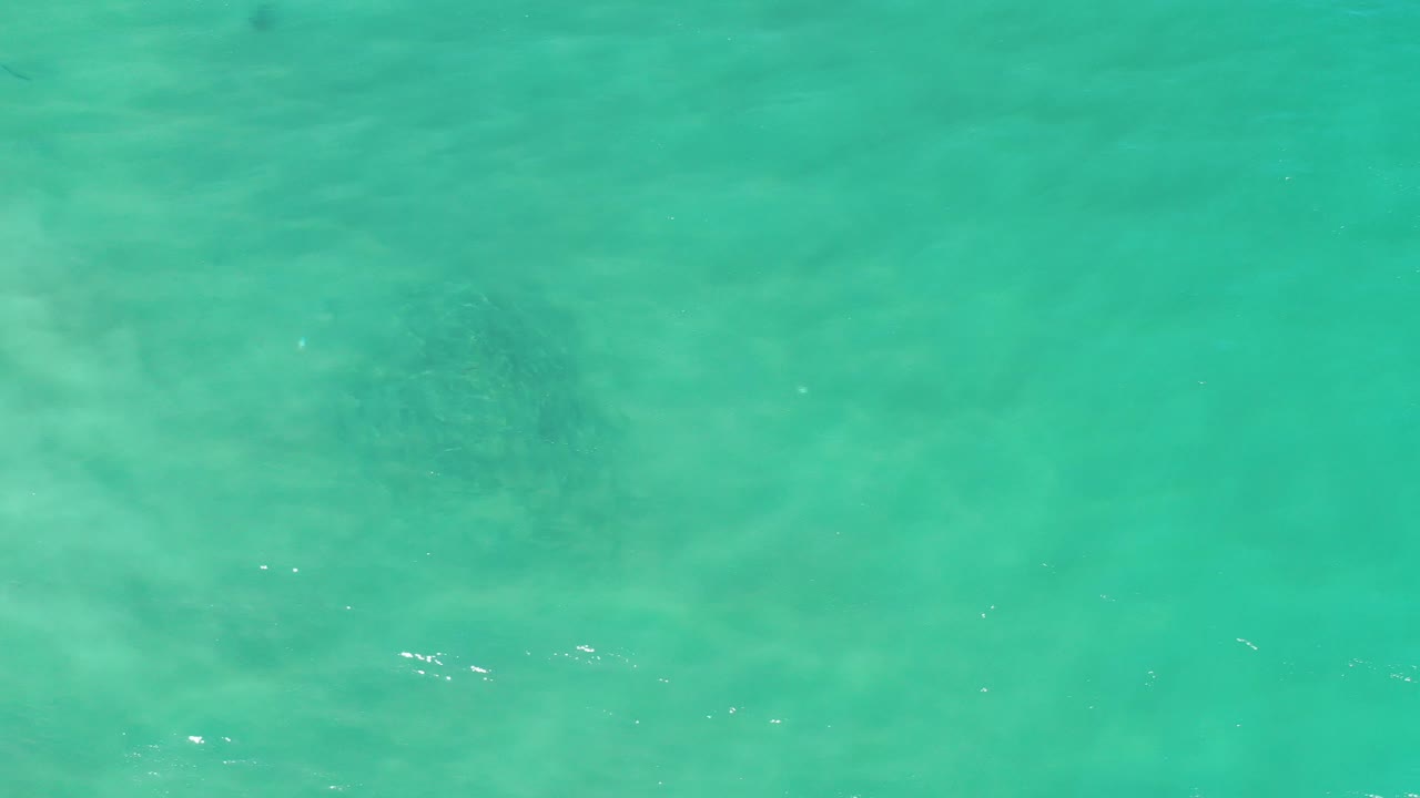 Aquamarine water surface with faint small fish shapes