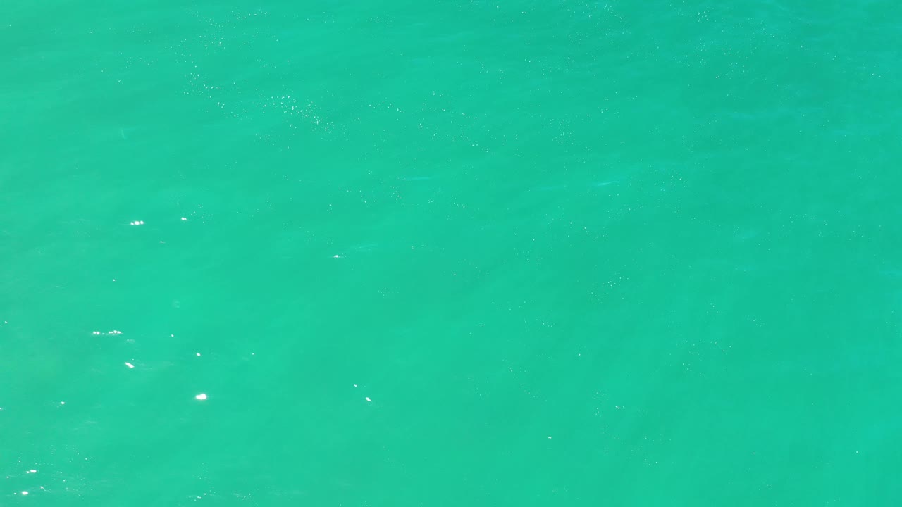 Bright green ocean water in Los Cabos, Mexico, with soft rippling texture and scattered white foam specks, no visible people.