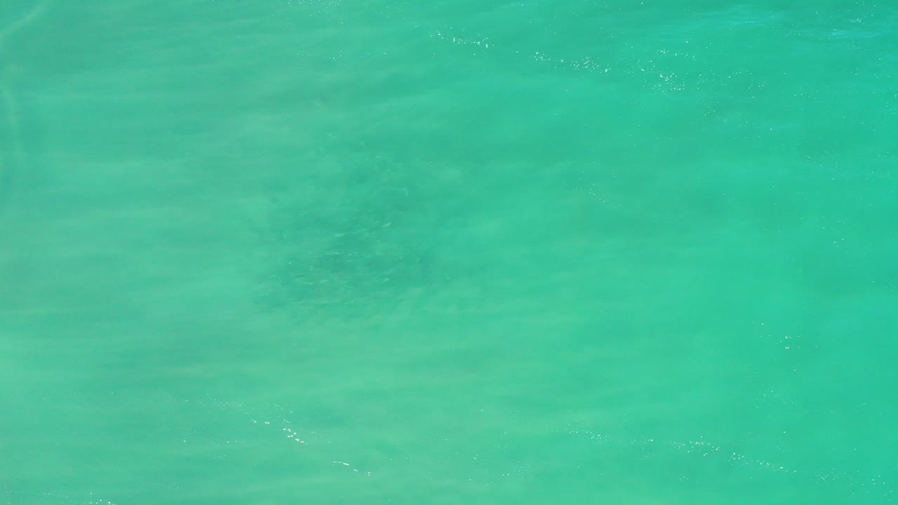 Overhead view of green seawater with faint sand bands below the surface.