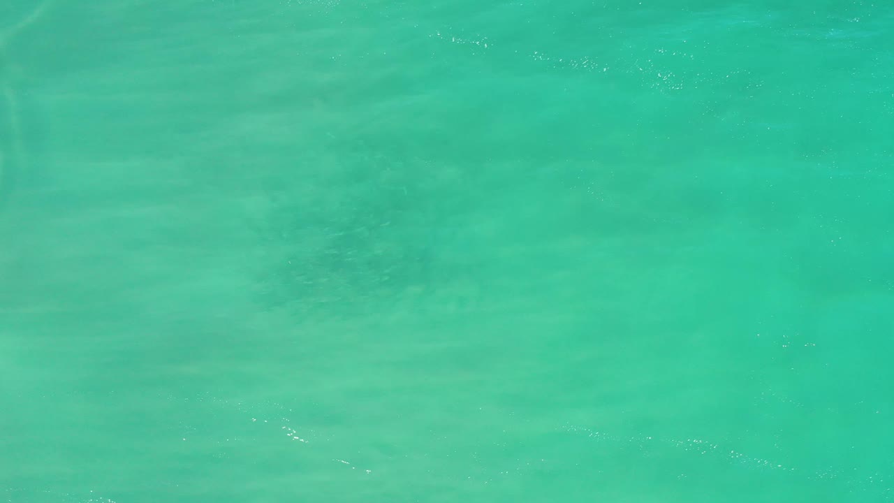Turquoise green water in Los Cabos fills the overhead frame, with faint underwater streaks and no visible people.