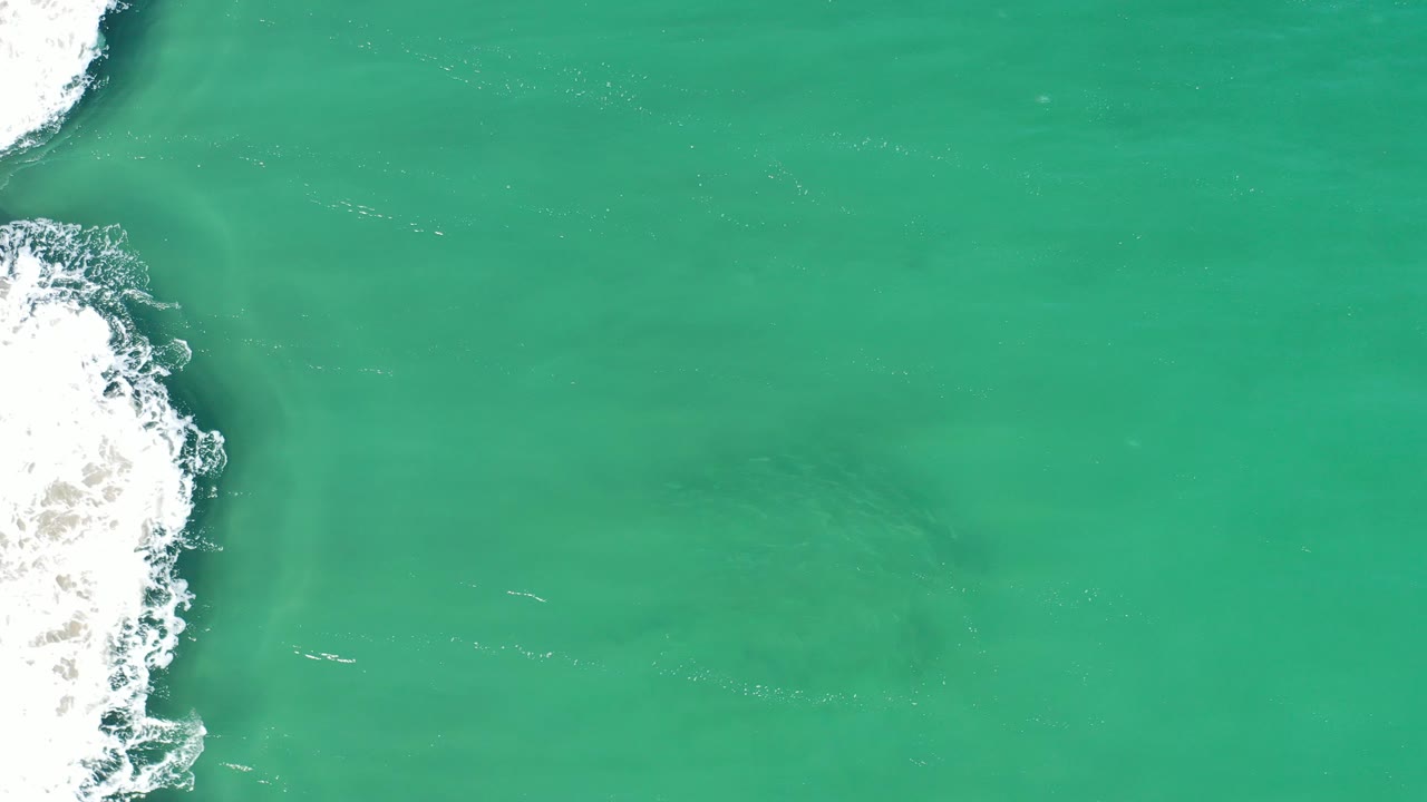 White foam curls into green water with a darker shape under the surface.