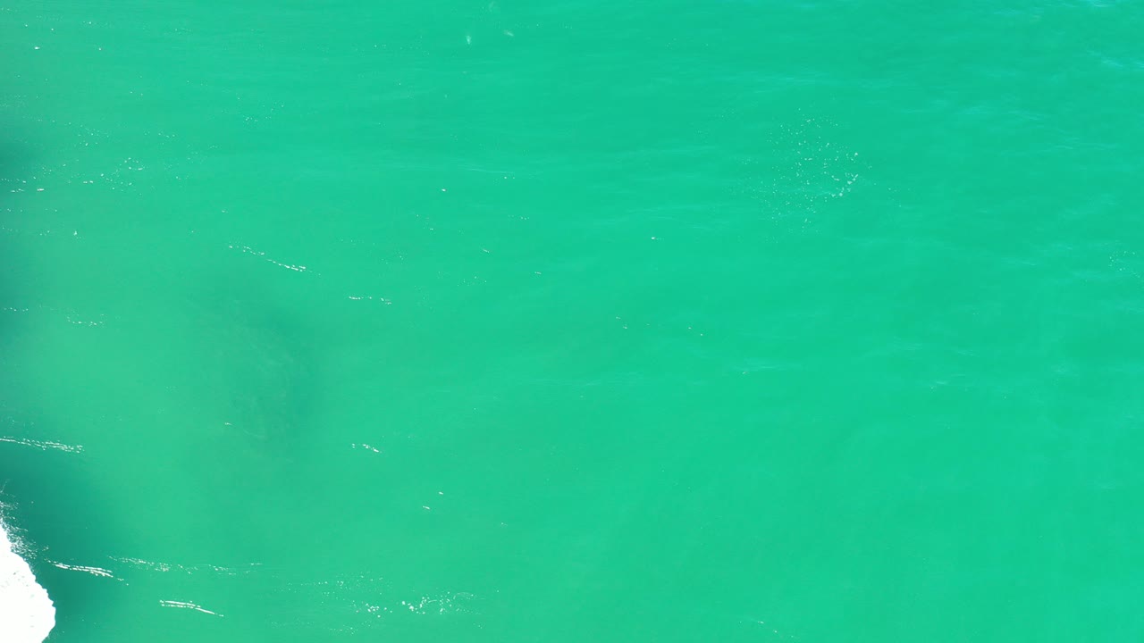 Overhead view of green ocean in Los Cabos, Mexico, with a dark whale-like form partly visible near the left edge and no visible people.