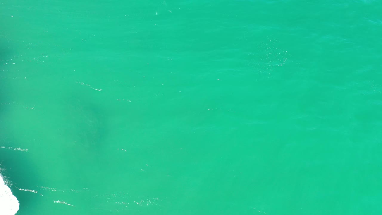 Aerial Los Cabos ocean frame with the dark submerged form still near the left side, surrounded by clear green water and faint foam marks, with no visible people.