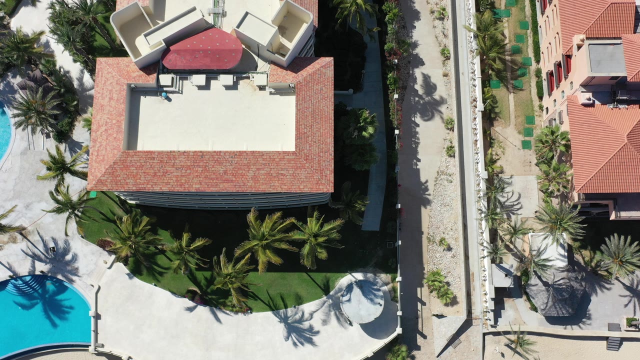 Overhead view of a Los Cabos hotel roof with palm trees, a pale pool deck, a curved blue swimming pool edge, and no visible people.