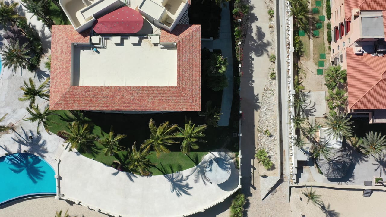Overhead hotel roof with palms and turquoise pool corner