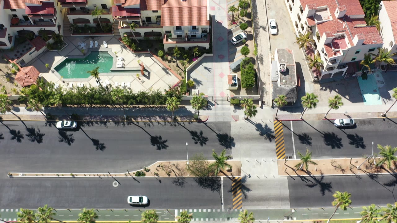 Overhead view of red-roof houses, road, cars, palms, and a pool beside green space.