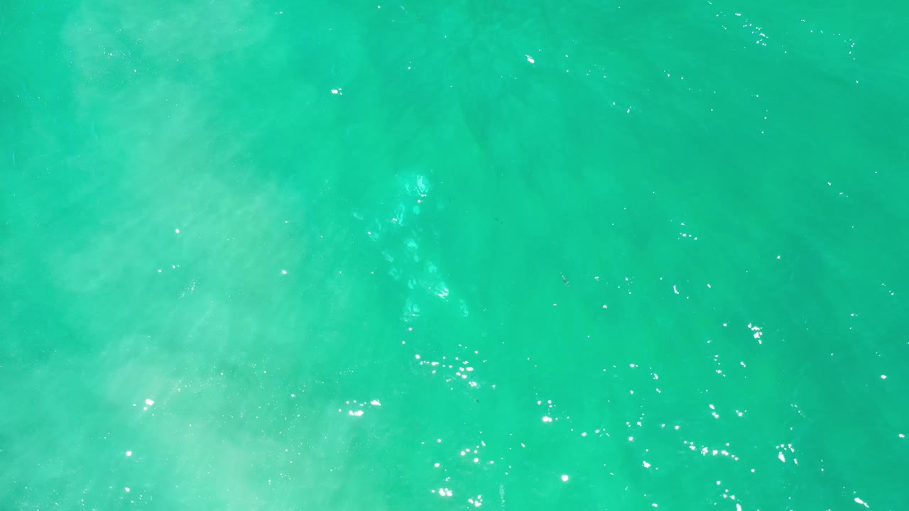 Overhead view of green water in Los Cabos with soft milky streaks crossing the frame, small bright reflections, and no visible people.