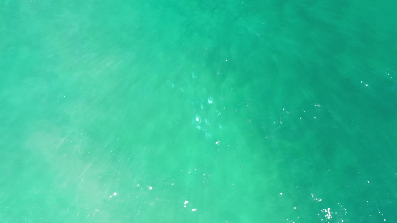 Turquoise blue water fills the frame in Los Cabos, Mexico, with slightly darker ripples and small bright reflections, with no visible people.