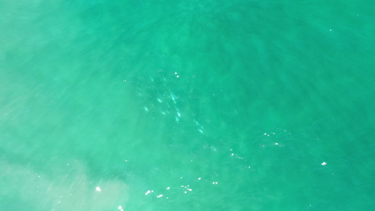 Overhead view of turquoise ocean water in Los Cabos, Mexico, with pale wave wash near the lower edge and no visible people.