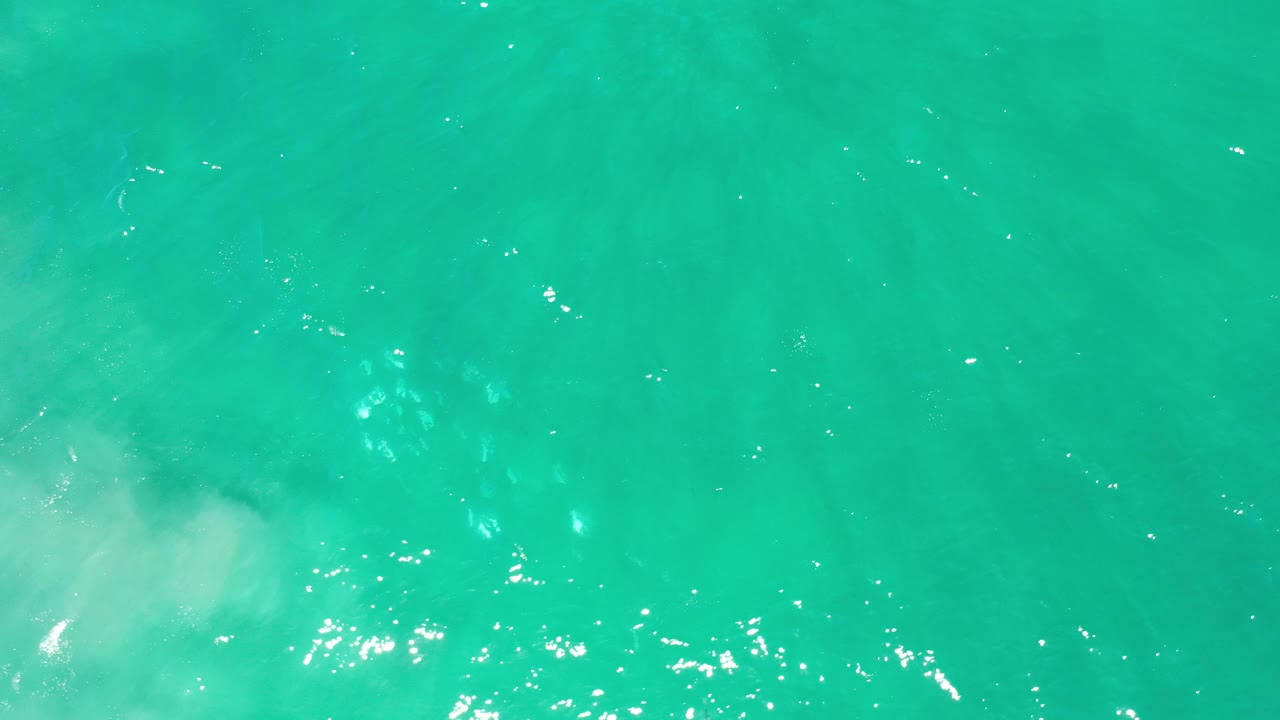 Turquoise ocean water with surface sparkle and pale underwater patches.