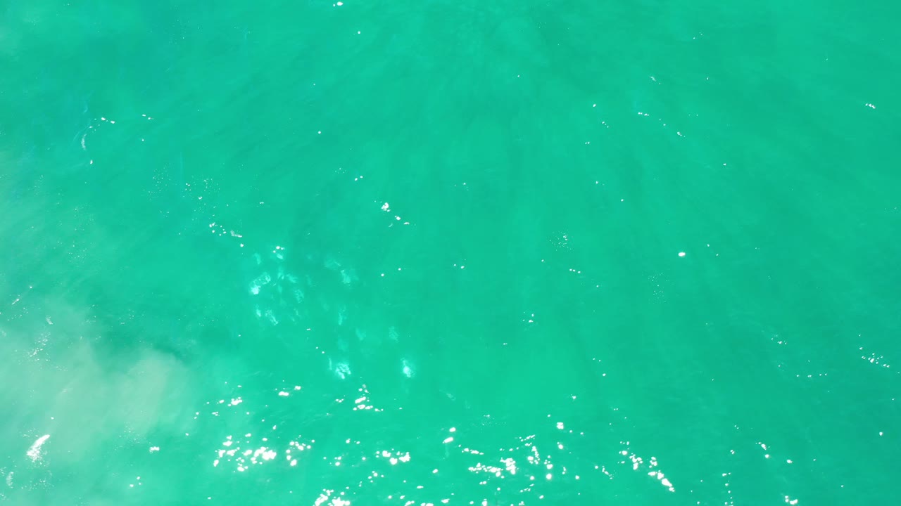 Overhead Los Cabos water frame with brighter surface highlights through the center and faint darker underwater shapes that may be fish, no visible people.