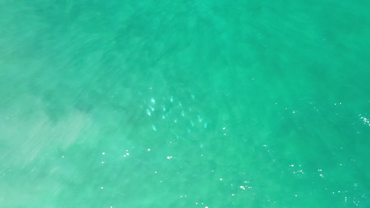 Blue-green Los Cabos ocean surface with soft ripple patterns, scattered sun reflections, and no visible people.