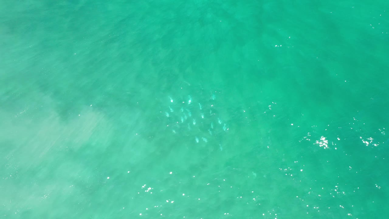 A pale patch moves through clear turquoise water with small wave texture.