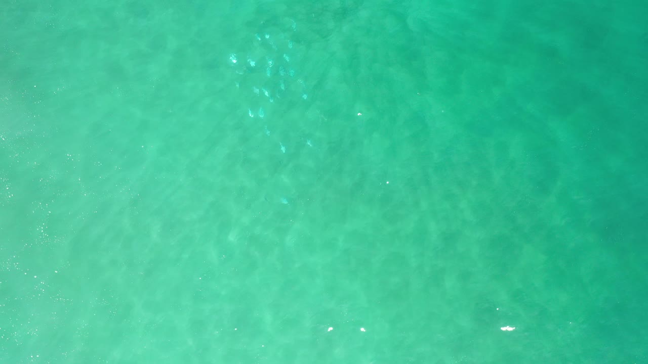 Turquoise water viewed from directly overhead.
