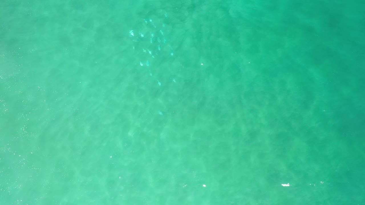 Aerial-looking frame of green-blue water in Los Cabos, Mexico, with scattered white highlights and no visible people.