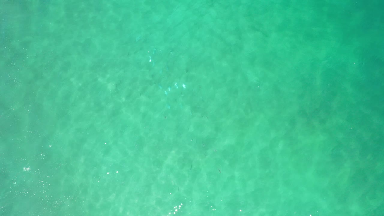 Overhead view of green-blue water in Los Cabos, Mexico, with faint sandy texture below the surface and no visible people.