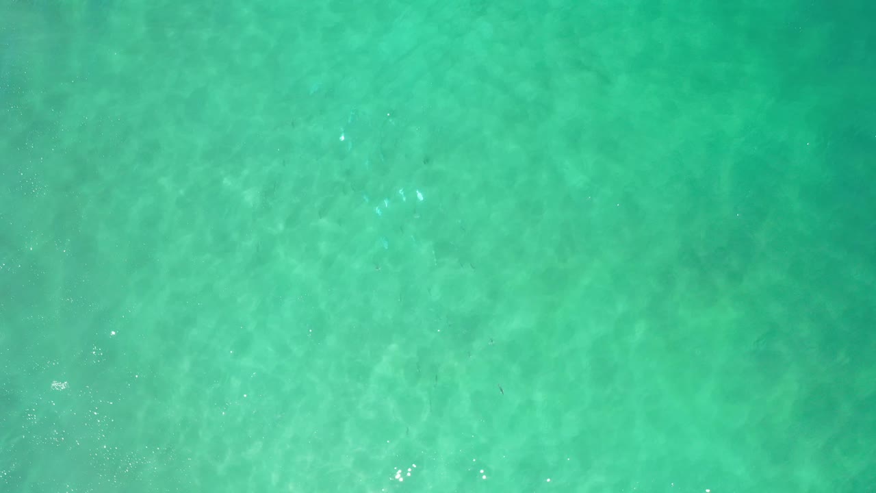 Shallow turquoise water fills the frame in Los Cabos, Mexico, with subtle ripples and no visible people or shoreline.