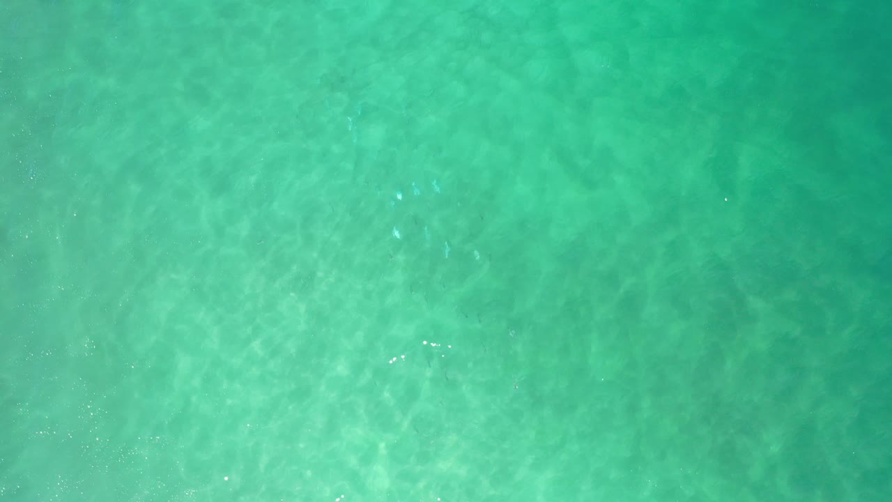 Green ocean surface with pale underwater patterns.