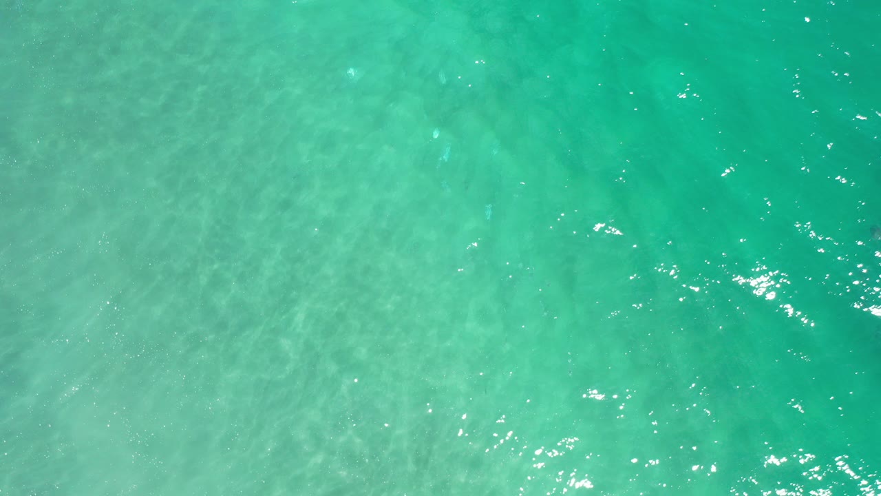 Overhead view of clear turquoise ocean water in Los Cabos, Mexico, with pale sandy color beneath the surface and no visible people.
