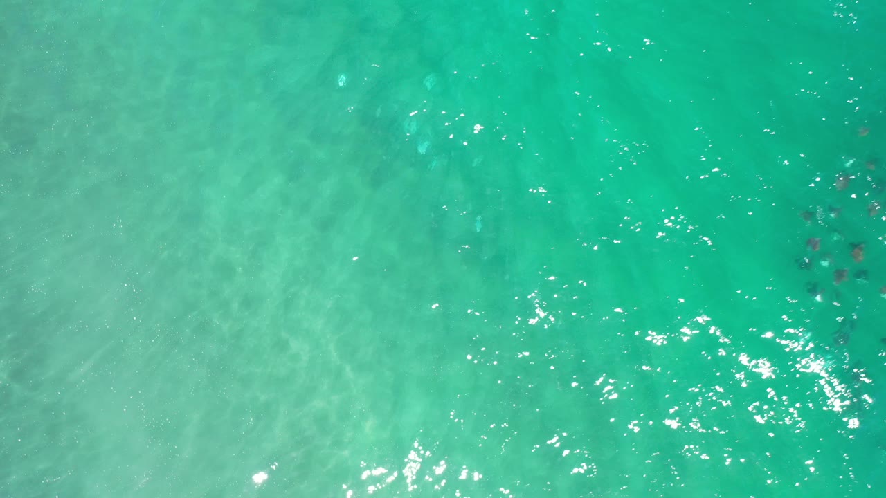 Overhead Los Cabos water view with sun sparkle near the lower area and the first small dark marine shapes appearing near the right side, no visible people.