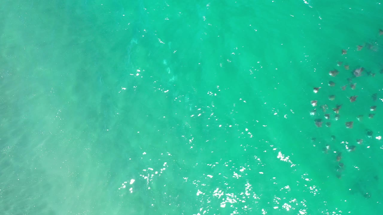 A cluster of dark underwater shapes in bright turquoise water.