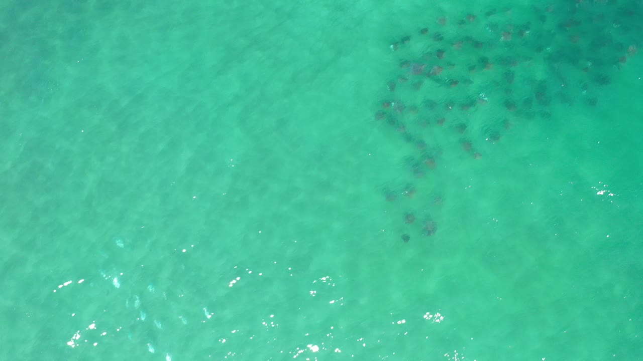 Overhead view of turquoise ocean water in Los Cabos, Mexico, with faint dark underwater patches near the upper frame and no visible people.