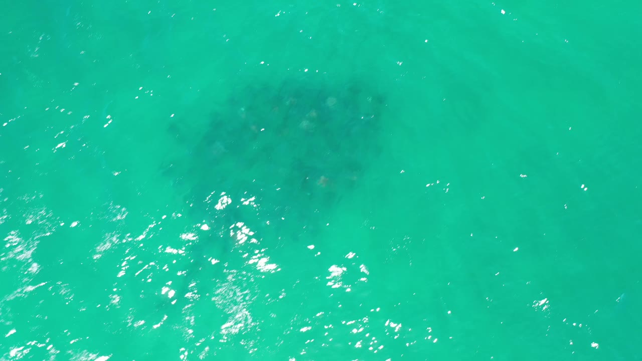 Overhead Los Cabos water frame with bright sun glints across blue-green sea and soft dark plant shapes below, with no visible people.