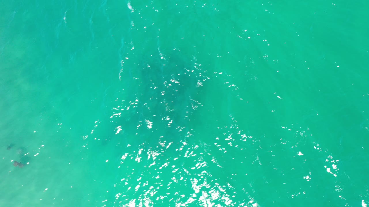 Overhead teal seawater with bright surface reflections.