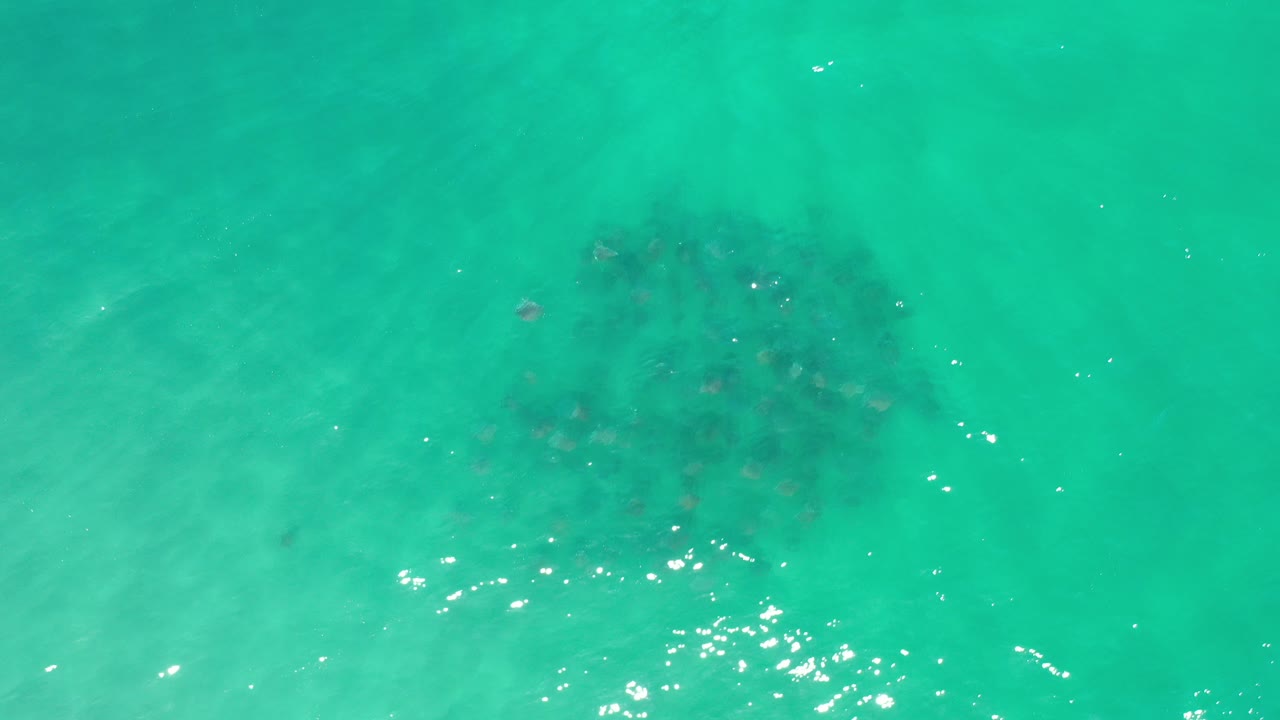 Turquoise water over sandy seabed with dark underwater patches.