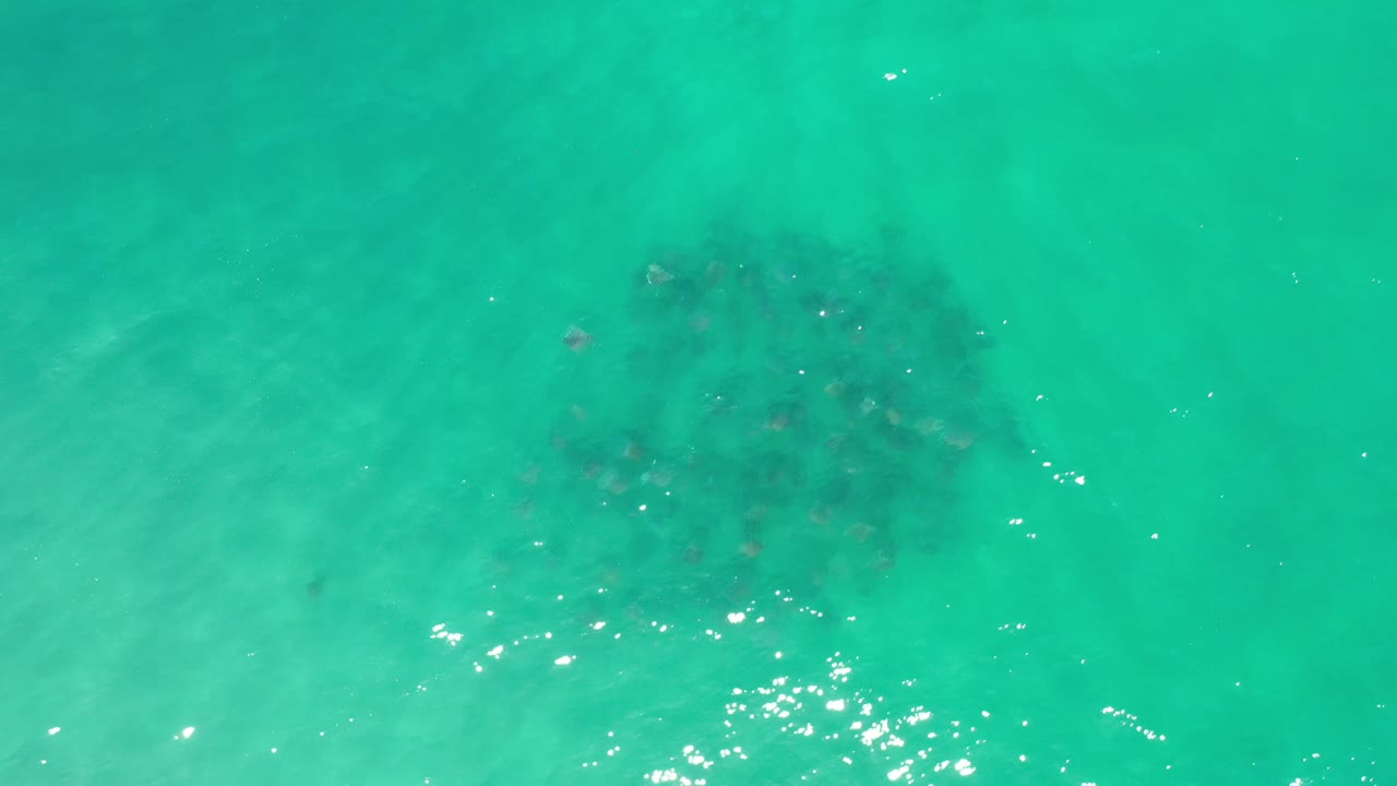 Los Cabos shallow water shows a darker underwater form beneath rippled green-blue surface light, with no visible people.