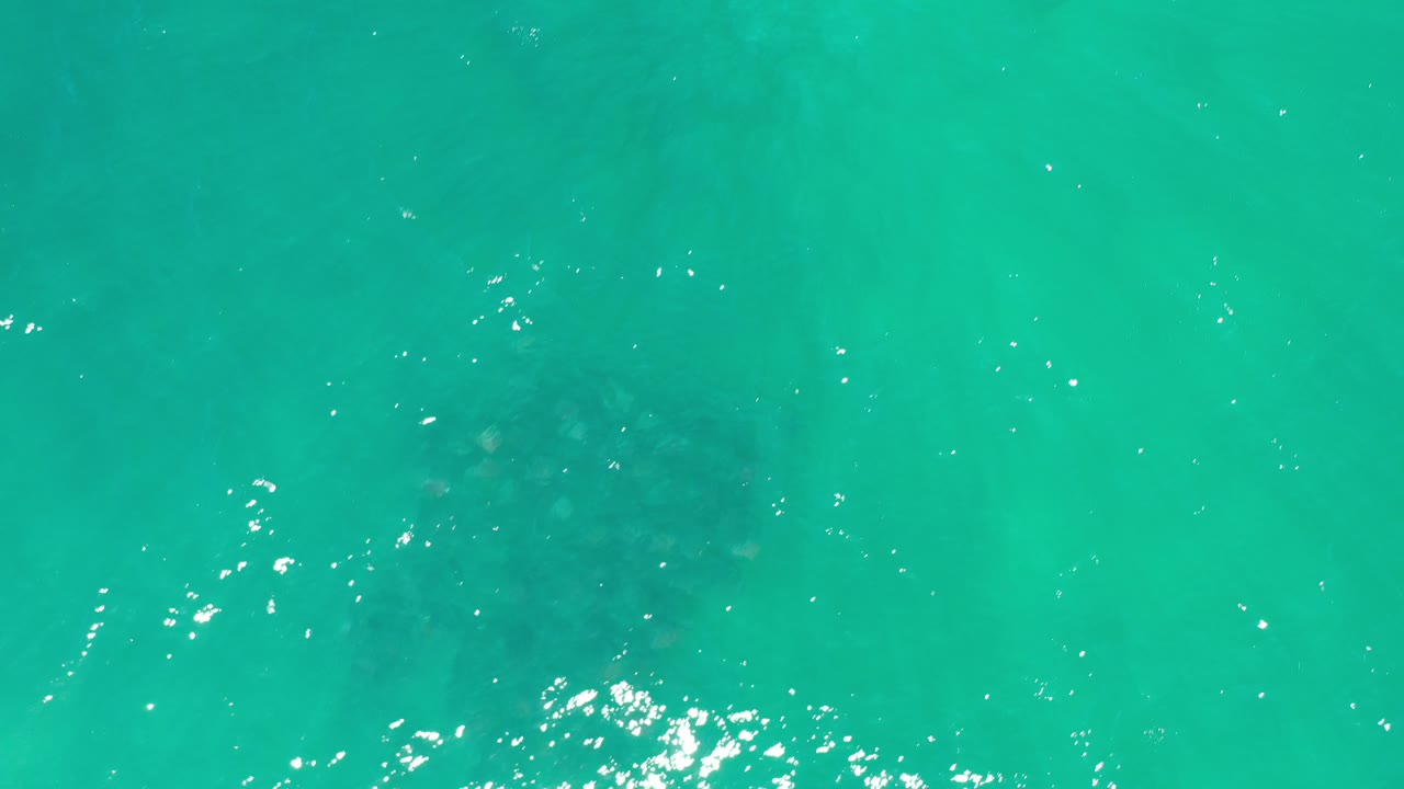 Overhead view of turquoise-green water in Los Cabos, Mexico, with a dark fish cluster near the lower left and no visible people.