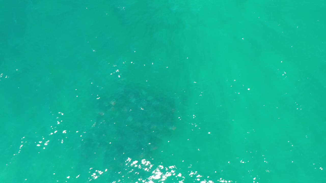 Overhead Los Cabos water frame with faint darker underwater shapes and scattered white reflections, with no visible people.