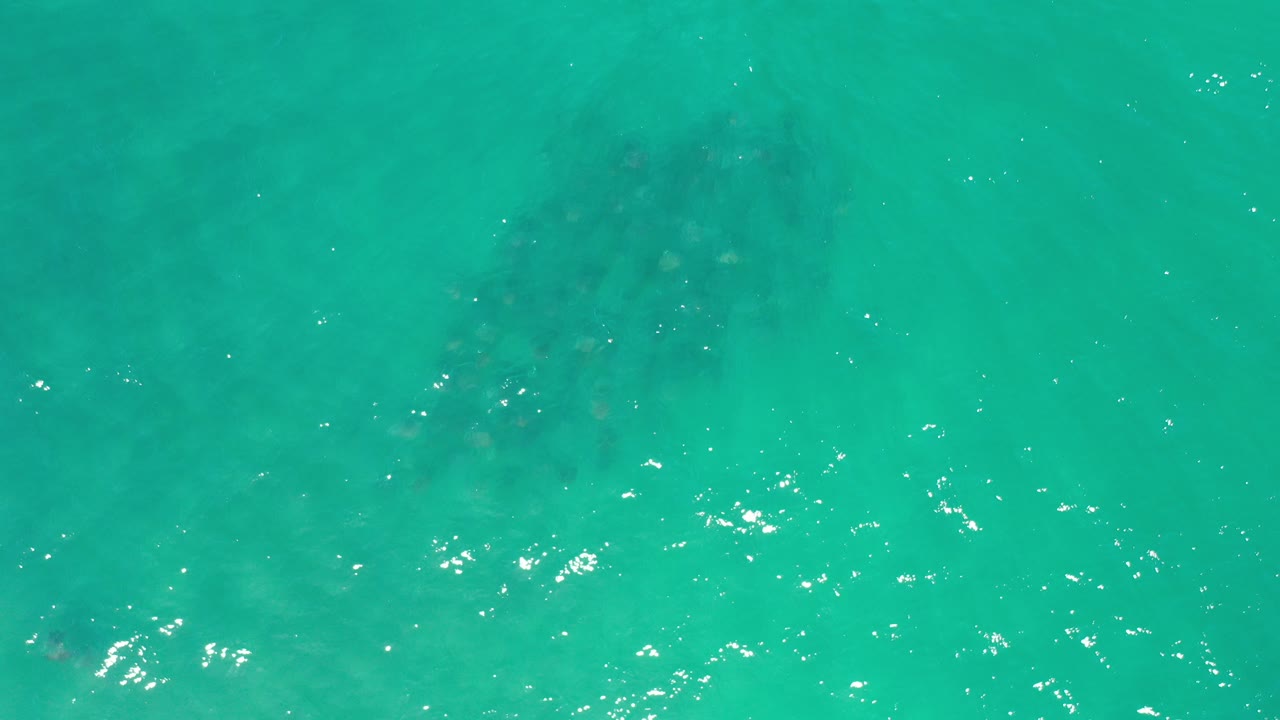 Turquoise ocean water with sun glints and faint dark shapes below the surface.