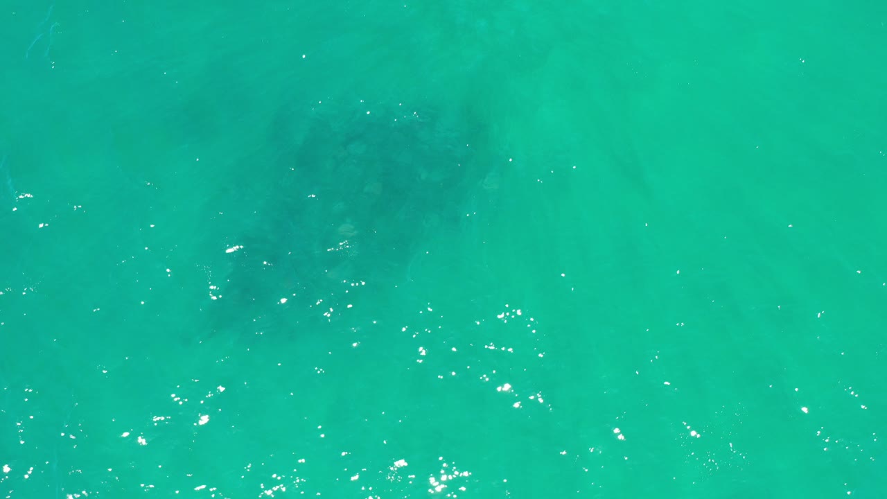Overhead view in Los Cabos, Mexico of turquoise sea with a dark whale form faintly visible beneath the upper part of the frame and no visible people.