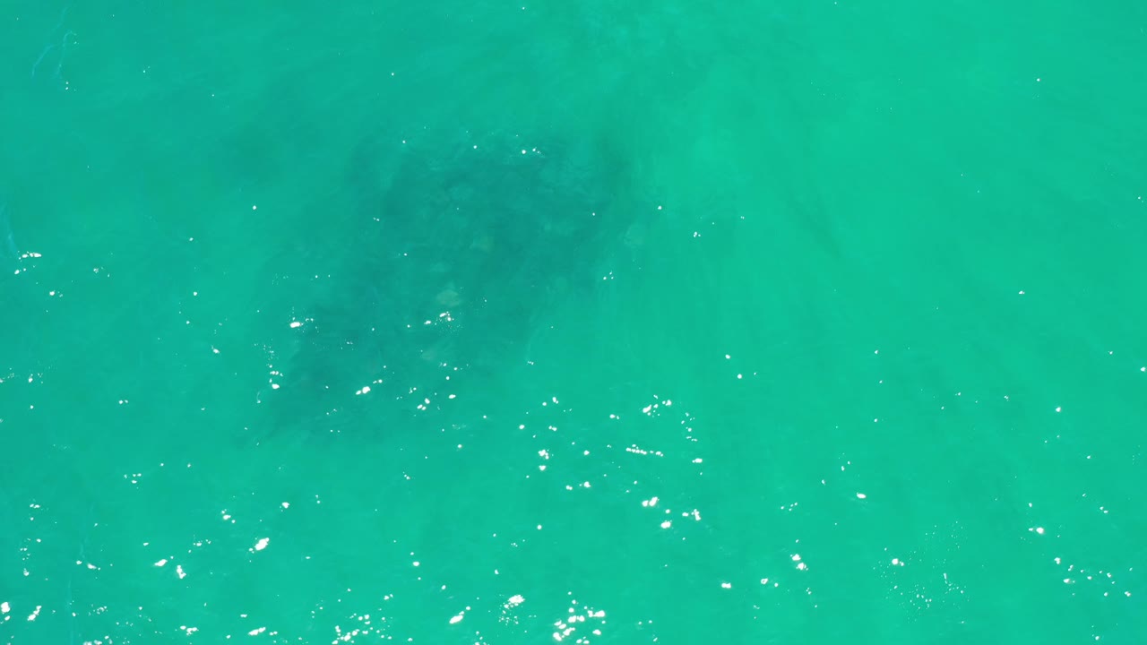 Overhead Los Cabos ocean frame showing a muted dark whale shape below green-blue water, with small white reflections on the rippled surface and no visible people.