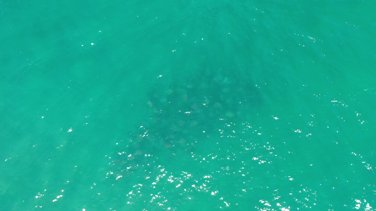 Aerial water surface with pale ripples and underwater shadows