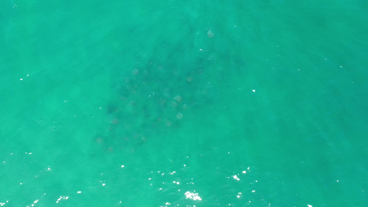 Overhead Los Cabos ocean frame with green water, scattered white glints, soft underwater shadows, and no visible people.