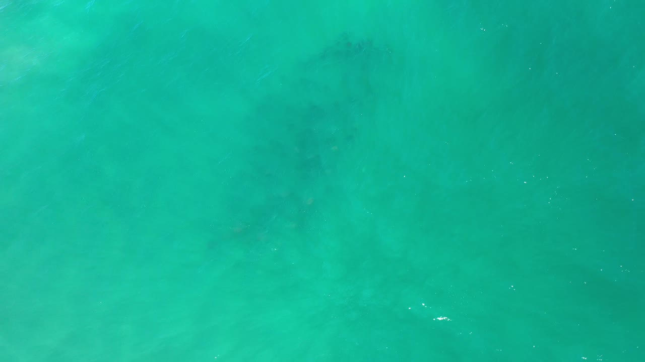 Turquoise-green seawater filling the frame.